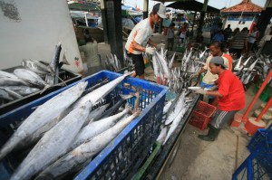 Pekerja mengangkut ikan tengiri di Tempat Pelelangan Ikan, Karangsong, Jawa Barat, Selasa (11/2). Pemerintah melalui Kementerian Kelautan dan Perikanan mendorong investasi di sektor perikanan sehingga mampu menyerap tenaga kerja di sektor tersebut. ANTARA FOTO/Dedhez Anggara/ss/Spt/14.